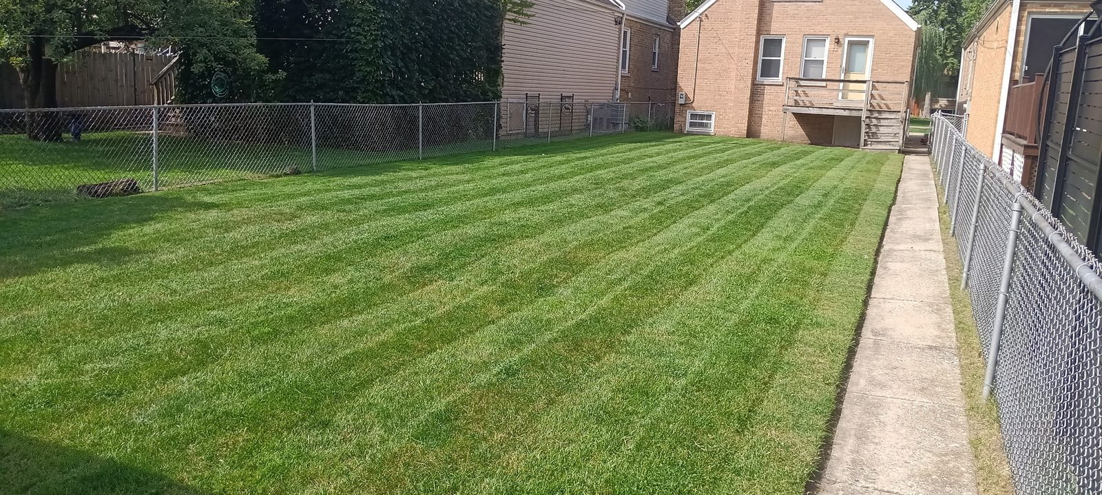 Lawn Pushers' professionally striped mowing pattern on a Chicago backyard lawn